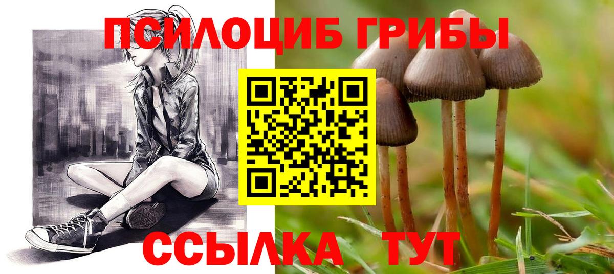 Галлюциногенные грибы мицелий Нарткала