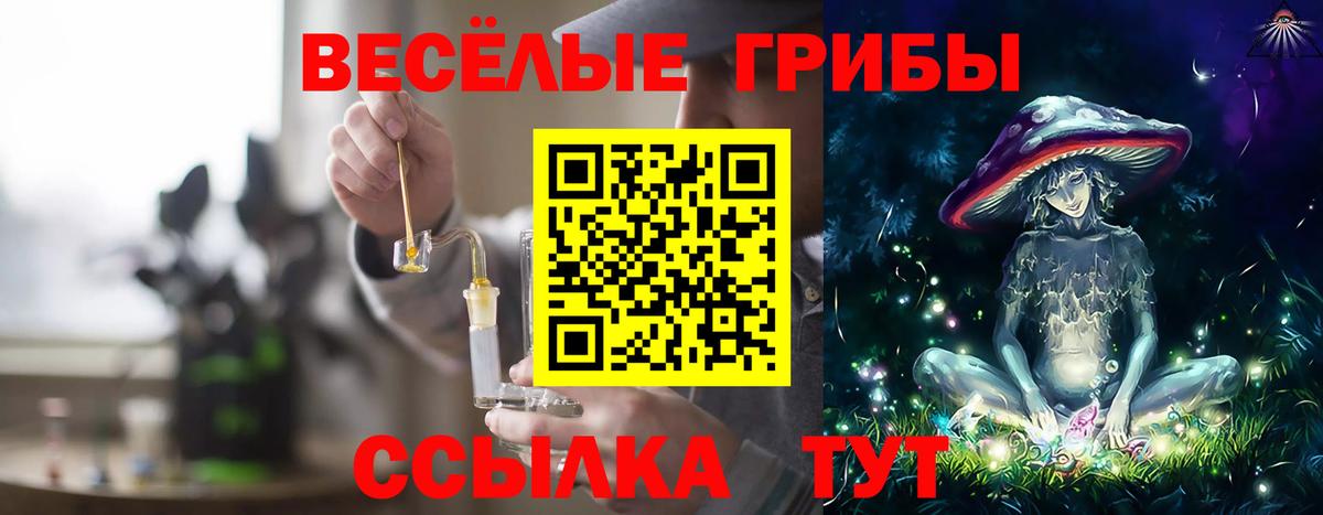 купить закладку  Вход с VPN  Нарткала  Псилоцибиновые грибы Cubensis 